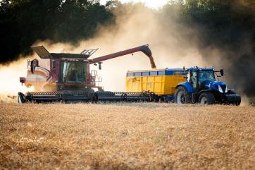 ФАО не ожидает восстановления производства зерна на Украине в 2023 году